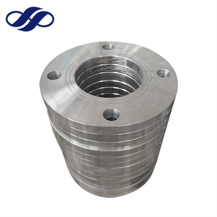 Forged Stainless Steel Flange